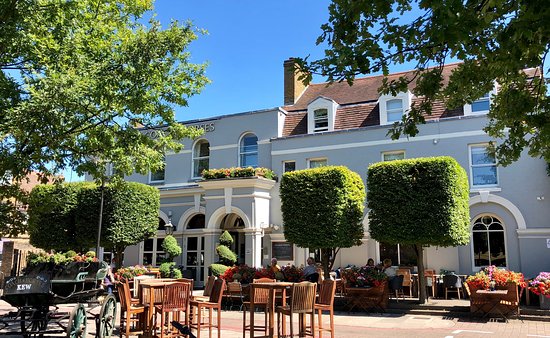 {{imageAltText(storage/images/Coach Horses.jpeg)}}